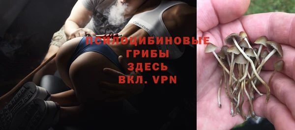 трава Алзамай