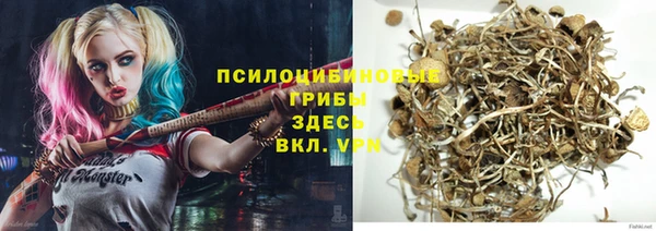 прущий лед Абаза