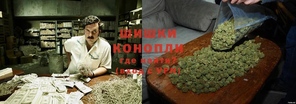 трава Алзамай