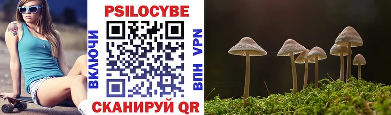 MEGA   Северская  Псилоцибиновые грибы GOLDEN TEACHER  дарнет шоп 